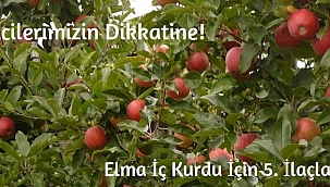 Elma İç Kurdu İçin 5. İlaçlama Zamanı Başladı