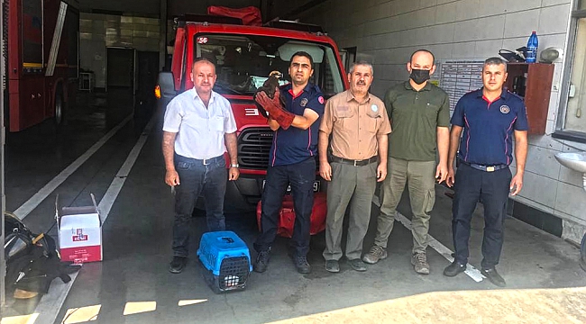 Büyükşehir Belediyesi İtfaiyesi'nden Duyarlı Vatandaşa Teşekkür 