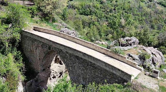 Ermeni vahşetinin tanığı: "Kanlı köprü"