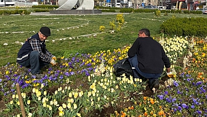 Ortak Kullanım Alanları Yaza Hazırlanıyor