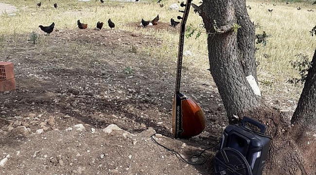 Tavuklarına her gün konser verdi ,karşılığını aldı!