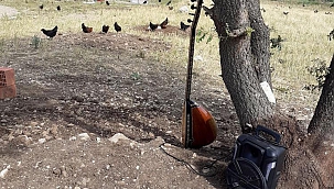 Tavuklarına her gün konser verdi ,karşılığını aldı!