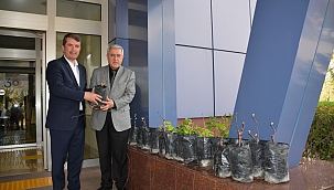 Üniversitemiz ve Türkoğlu Belediyesi İşbirliğiyle Labrusca Üzüm Yetiştiriciliği Çalışmalarına Başlandı