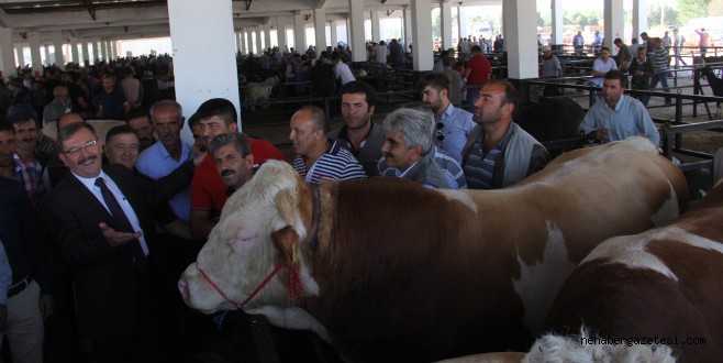 GÖKSUN HAYVAN BORSASINDA KURBAN HAREKETLİLİĞİ YAŞANIYOR