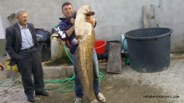 İtalya'da 127 Kilogram Ağırlığında Bir Yayın Balığı Yakalandı