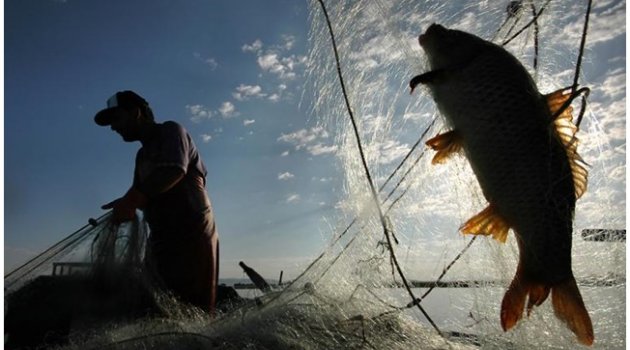 Kahramanmaraş'ta su ürünleri av yasağı başladı