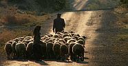 Yaylada Mahsur Kalan Çobanlar Kurtarıldı