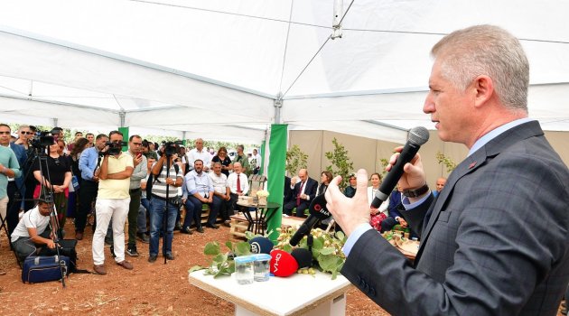 Vali Gül, "Ölmeden önce herkes mutlaka Gaziantep'i görmeli"